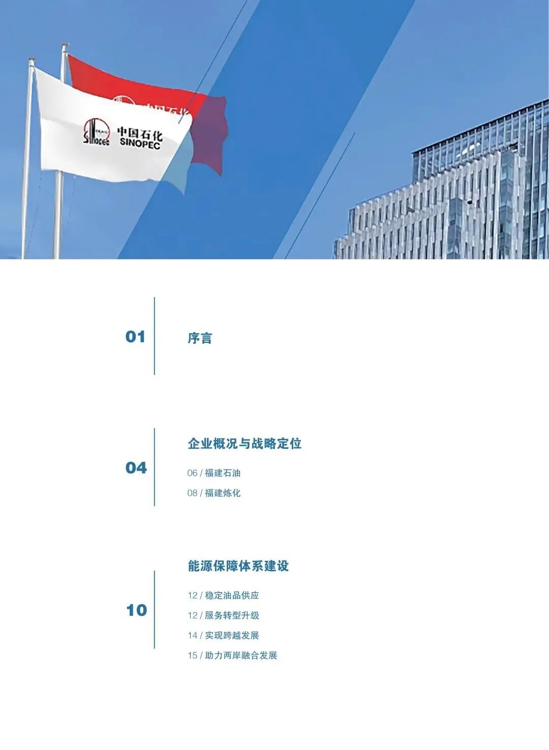 报告内容