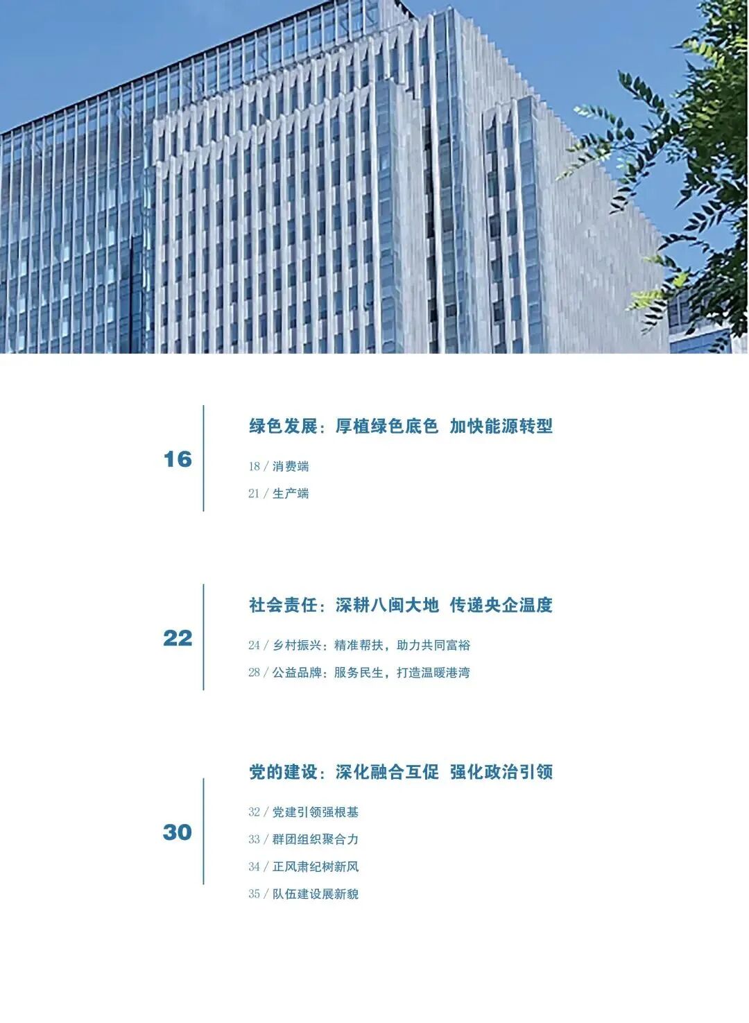 报告内容