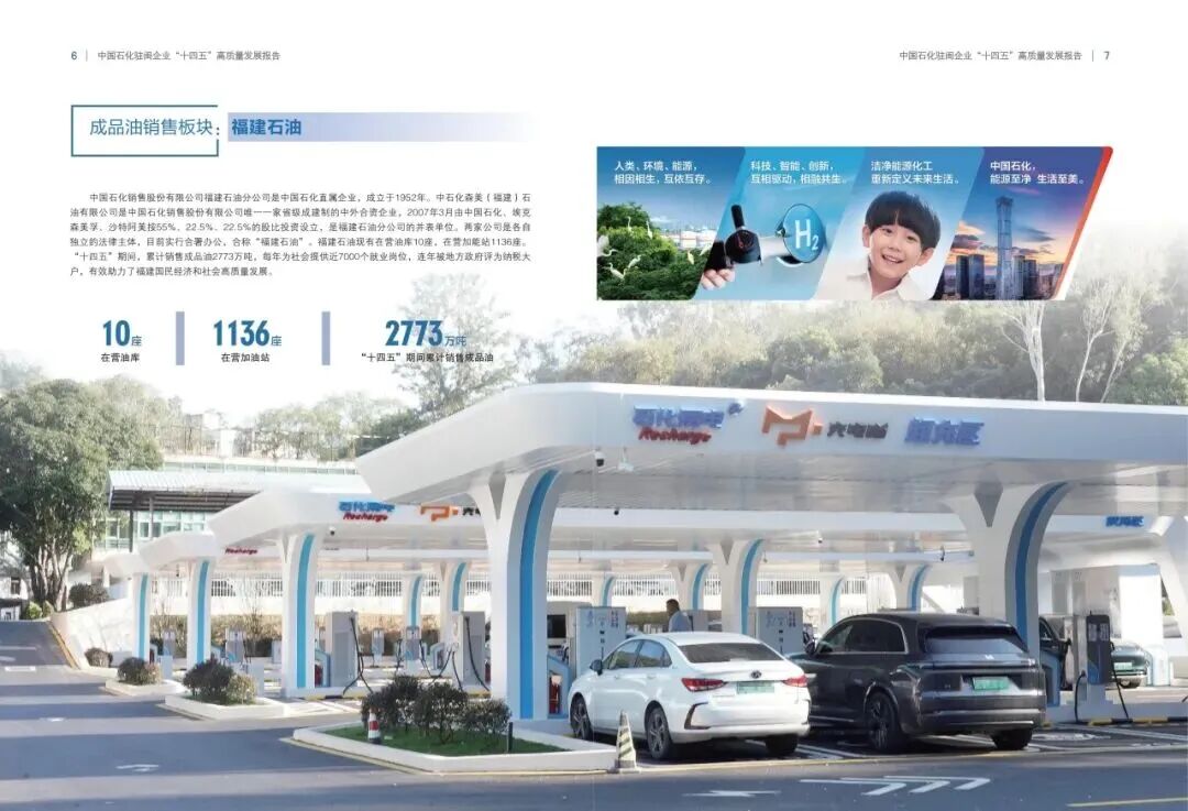 报告内容