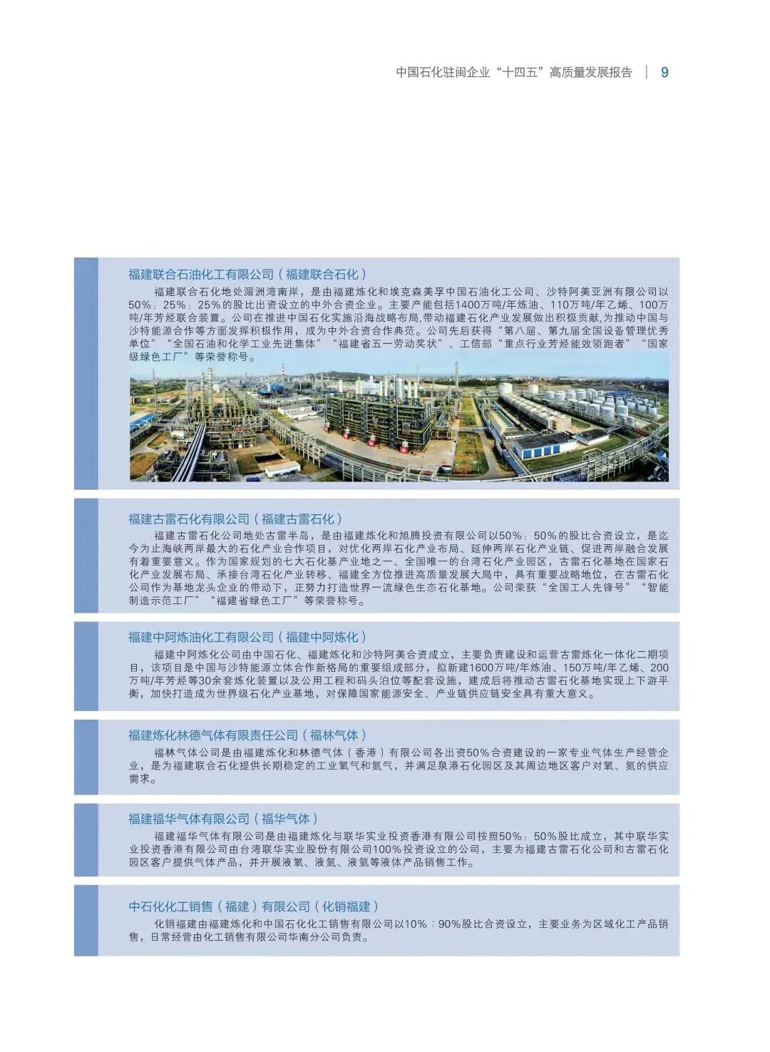 报告内容