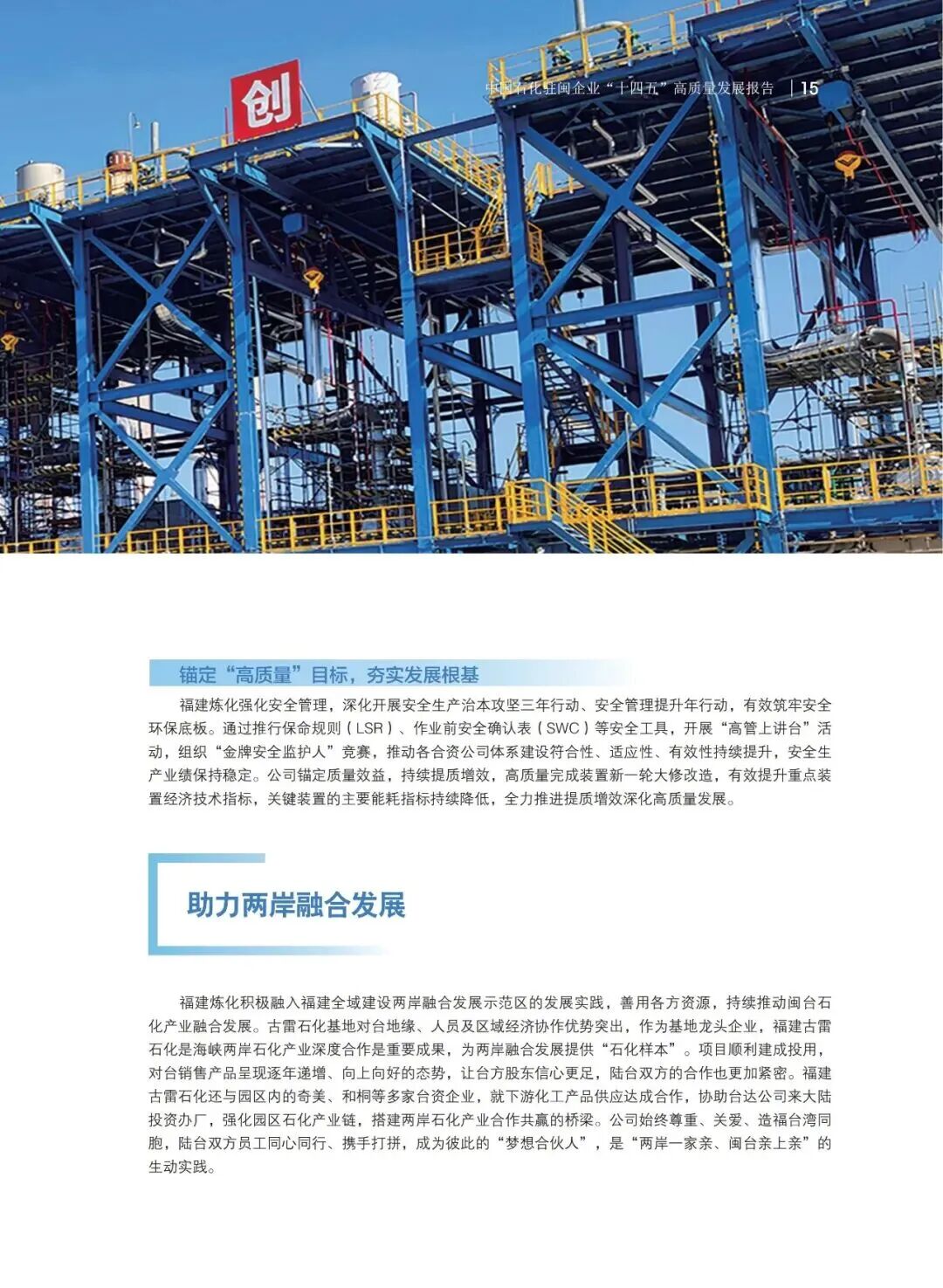 报告内容
