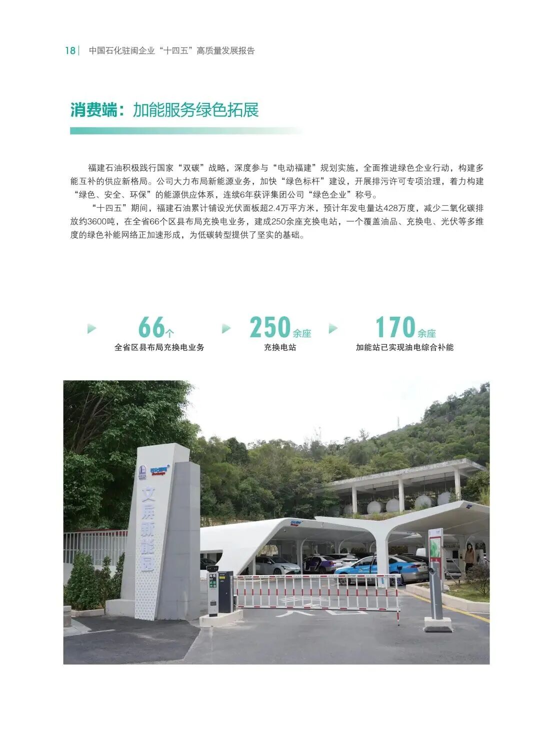 报告内容