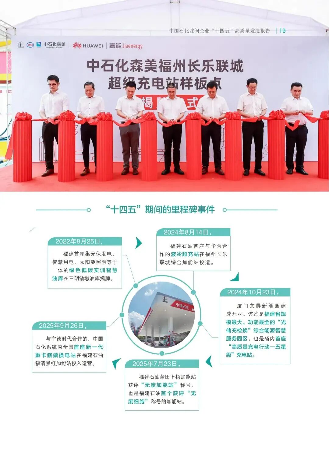 报告内容