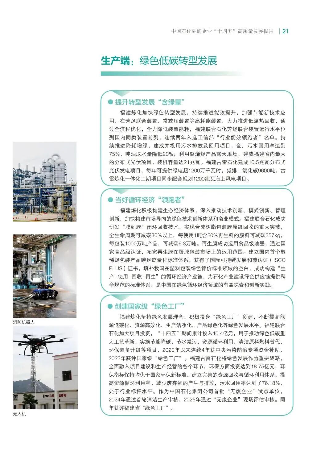 报告内容