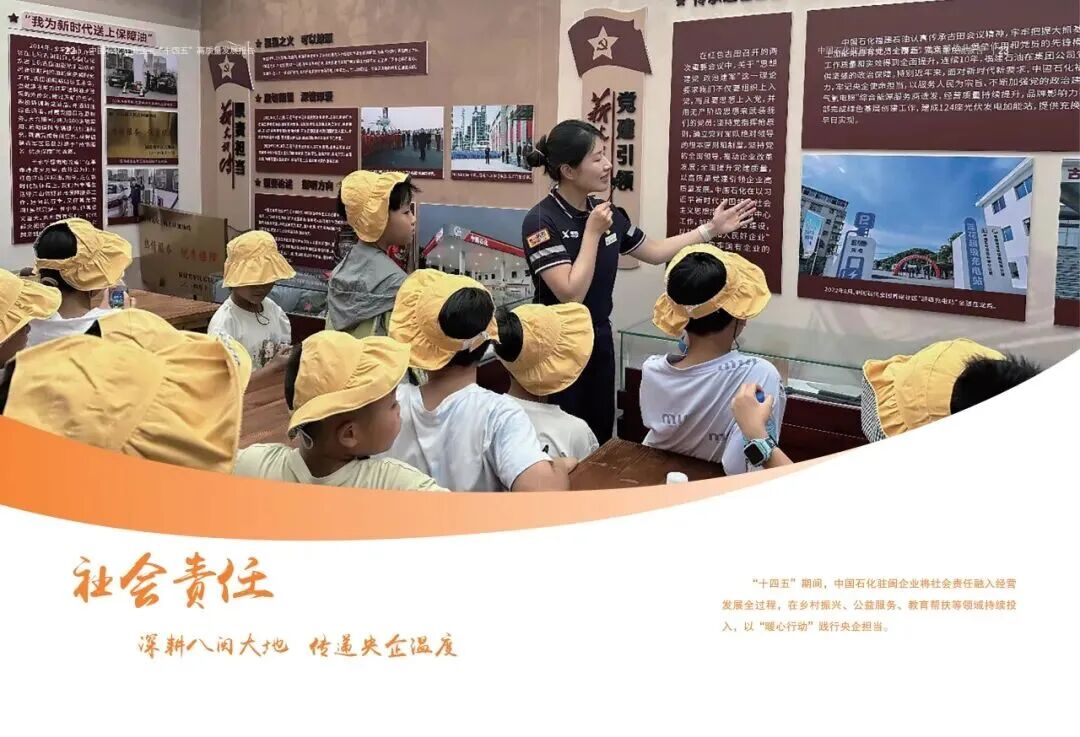 报告内容