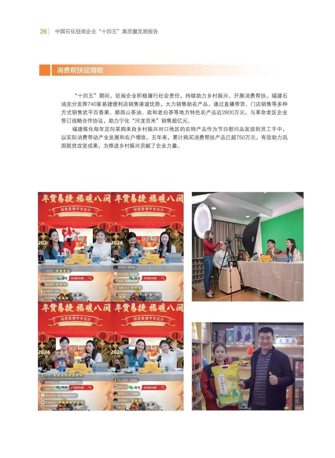 报告内容