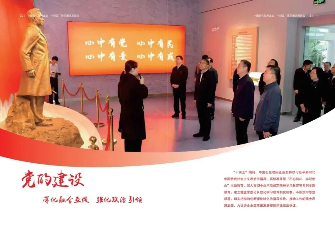 报告内容