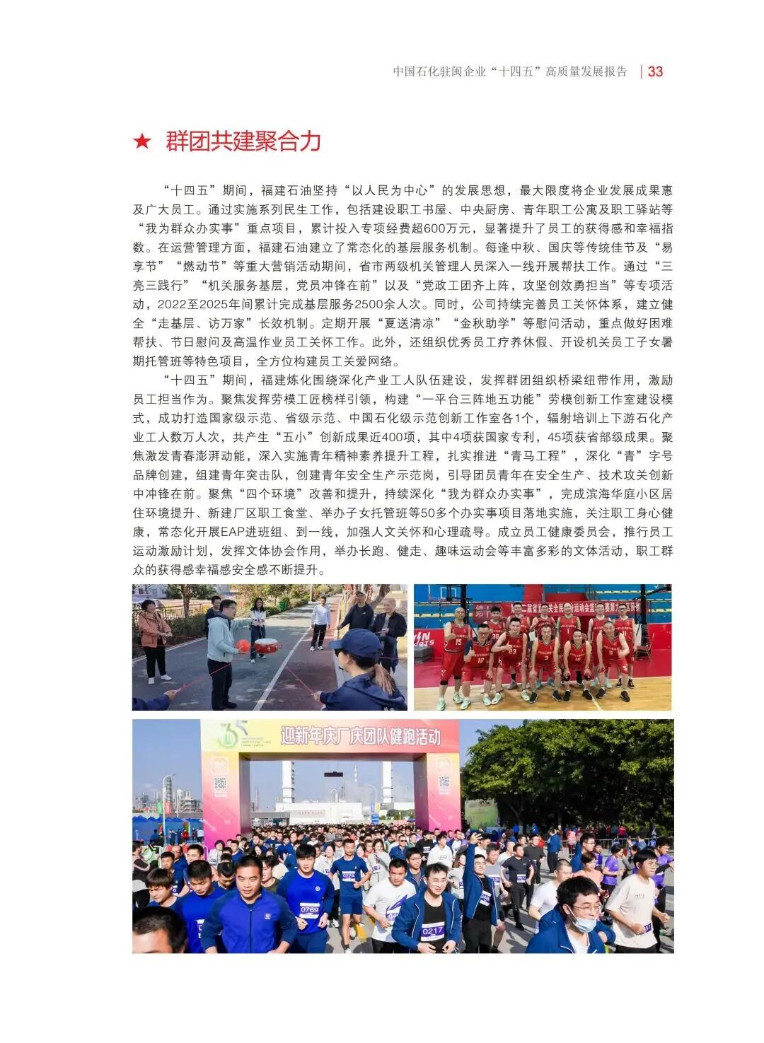 报告内容