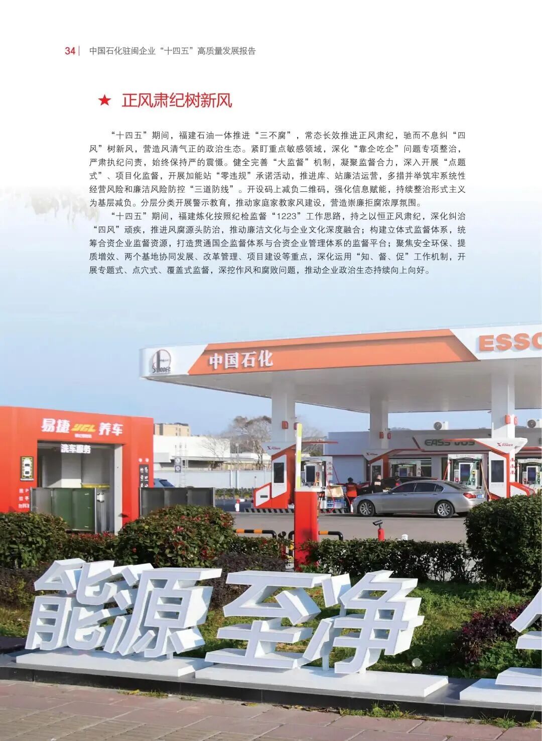 报告内容