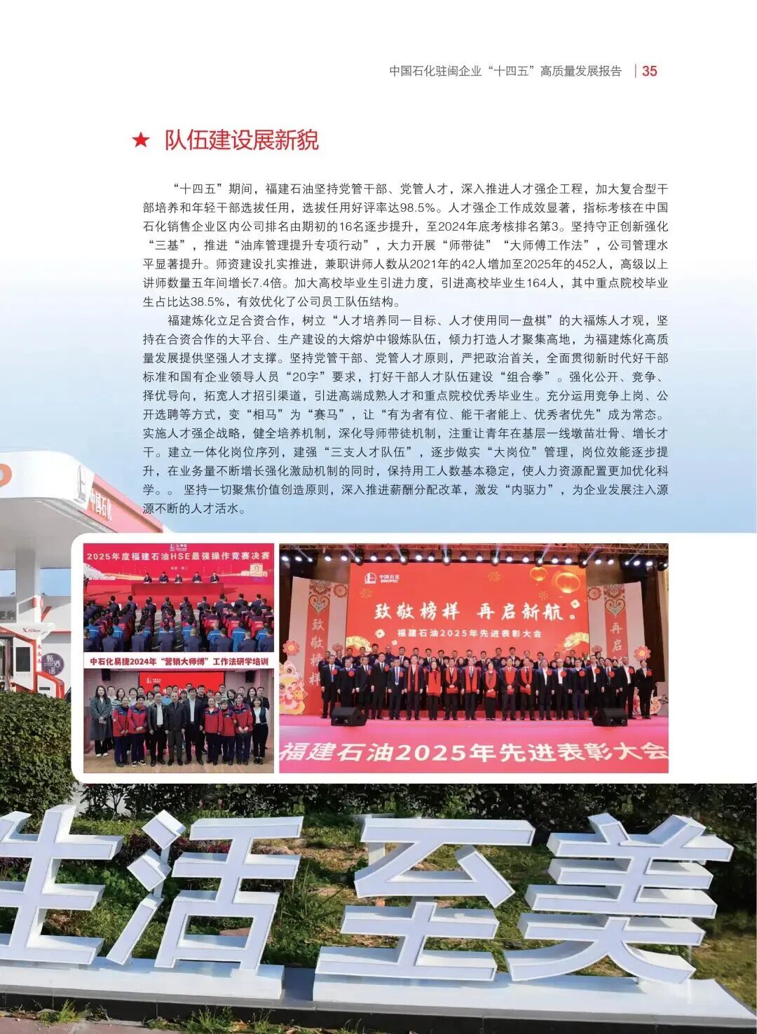 报告内容